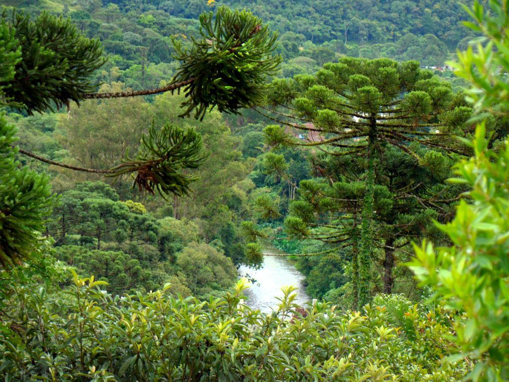 Pousada Lilaceas Visconde De Maua Exterior photo